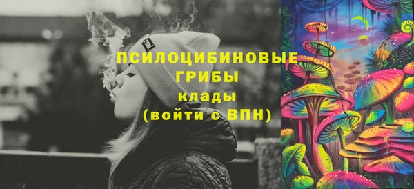 PSILOCYBIN Балабаново