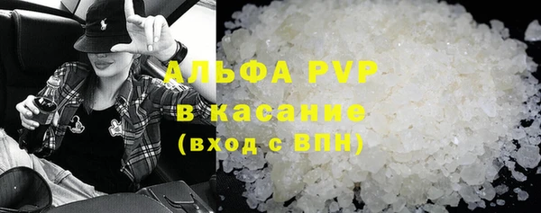 PSILOCYBIN Балабаново