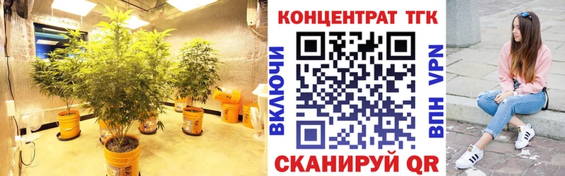 сайты даркнета формула  Дыгулыбгей  Дистиллят ТГК THC oil  купить закладку 